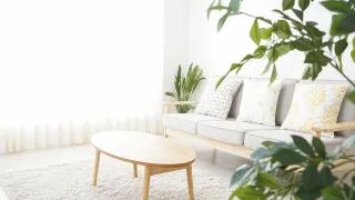 Valoisassa huonessa sohva, sohvapöytä ja viherkasveja