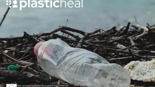Plastic bottle at the beach