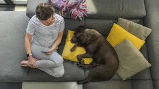 Nainen katsoo puhelinta sohvalla ja koira nukkuu hänen vieressään. 