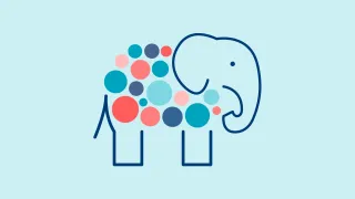 Kuvituskuva elefentista. 