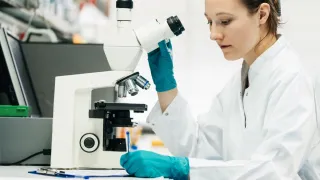 Laboratorion työntekijä tutkii mikroskoopin ääressä näytettä suojakäsineet käsissään.