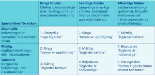 Tabell: Bedömning av den fysiska belastningens hälsomässiga betydelse