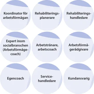 På bilden visas nio yrkesorganisationer som samordnar stödtjänster för arbetsförmågan.