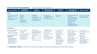 Servicesystemet för stöd för arbetsförmåga. Bildens innehåll beskrivs mer ingående på webbplatsen.