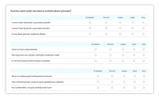 Näyttökuva kyselystä, jossa näkyy eri väittämiä ja vastausvaihtoehdot ei koskaan - aina välillä