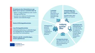 TYÖOTE-versamhetsmodellen i samarbetet mellan välfärdsområdet och företagshälsovården.
