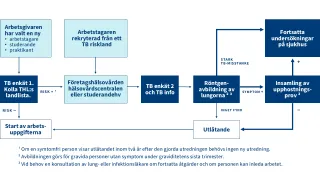 Schemat för verksamhetsmodellen: att genomföra undersökningar på arbetstagare enligt 55 §