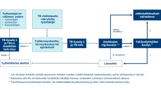 Toimintamallin kaavio: pykälän 55 mukaiset tarkastukset