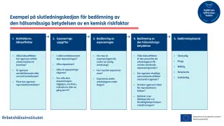 Slutledningskedjan visar hur den hälsomässiga betydelsen av en kemisk riskfaktor bedöms stegvis.